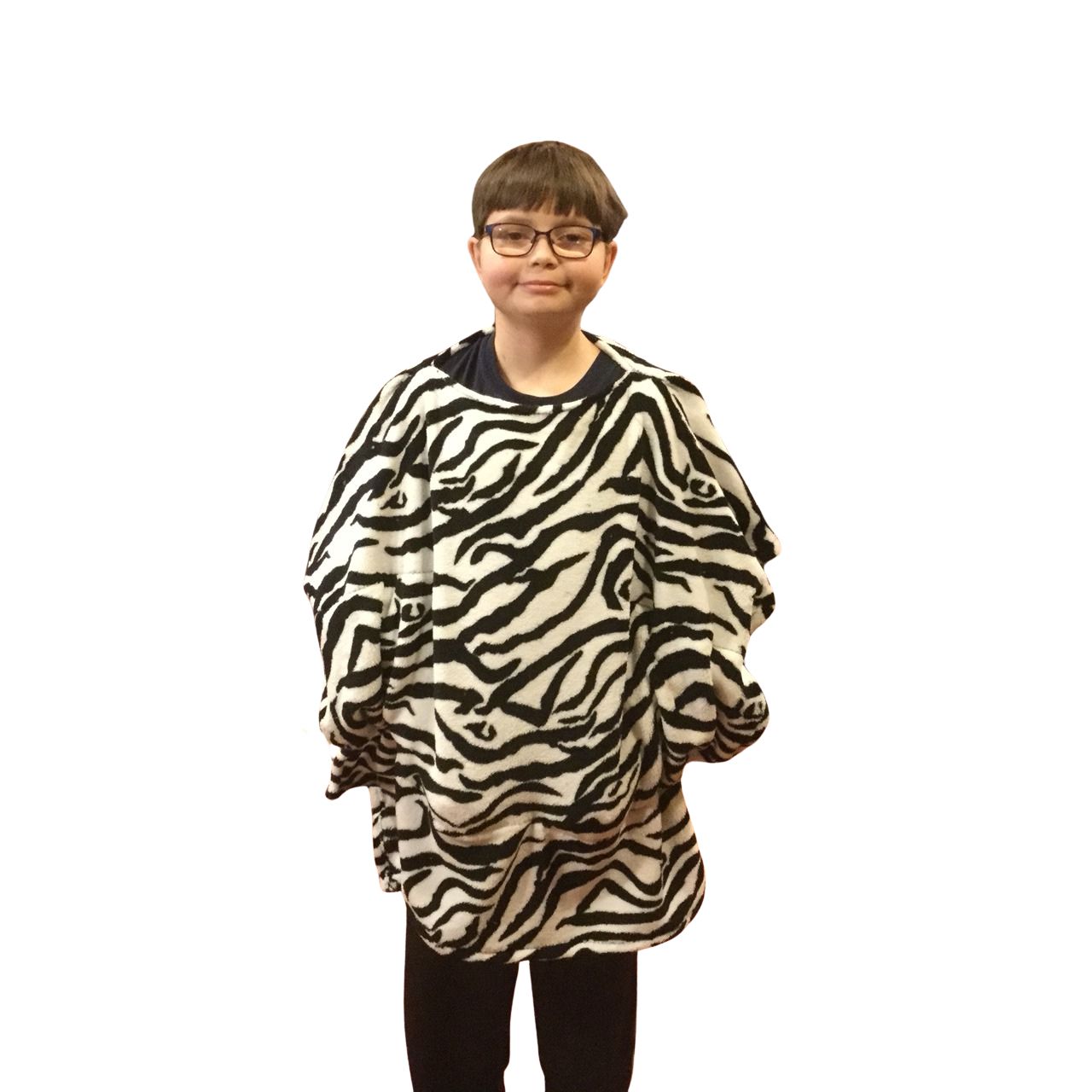 gavin zebra no background